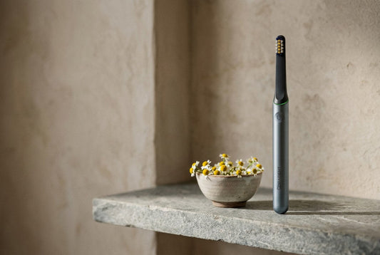 PulseONE sonic toothbrush in Graphite standing on a cool grey stone shelf beside a small bowl of chamomile flowers